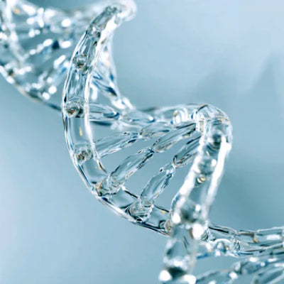 PDRN & mRNA Technology – The Programmers