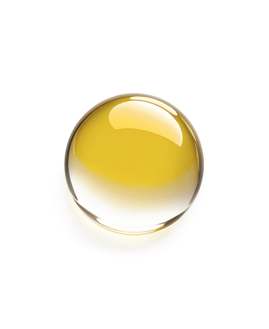 Round yellow object on a white background