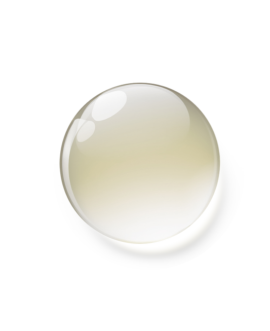 Clear glass sphere on a white background